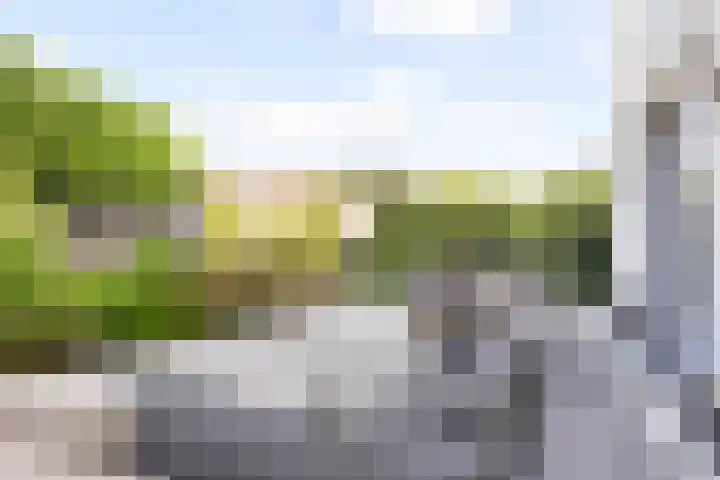 Aristoteleslaan 50 Alphen aan den Rijn thumbnail 59