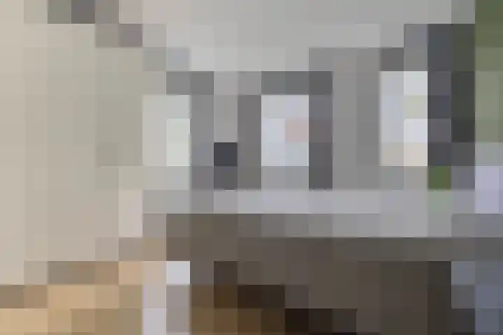 Aristoteleslaan 9 Alphen aan den Rijn thumbnail 12