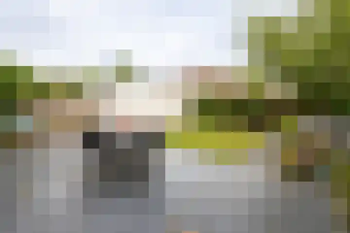 Aristoteleslaan 9 Alphen aan den Rijn thumbnail 29