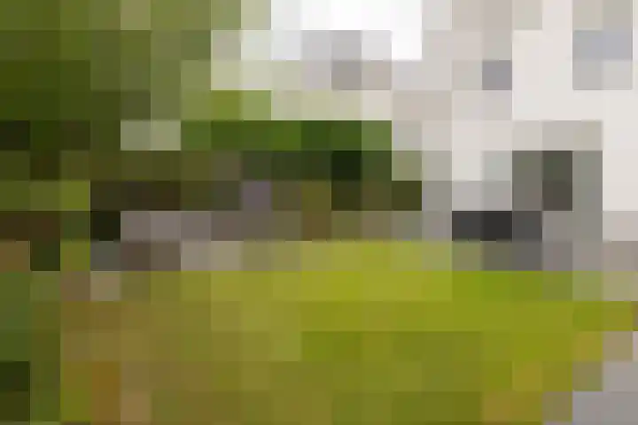 Aristoteleslaan 9 Alphen aan den Rijn thumbnail 30
