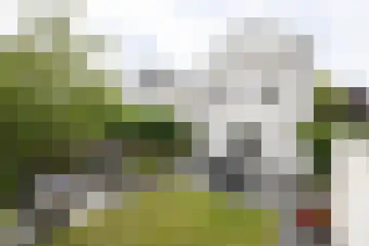 Aristoteleslaan 9 Alphen aan den Rijn thumbnail 31