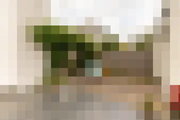 Aristoteleslaan 9 Alphen aan den Rijn thumbnail 33