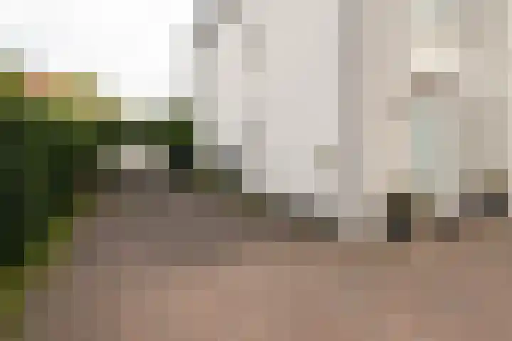Aristoteleslaan 9 Alphen aan den Rijn thumbnail 35