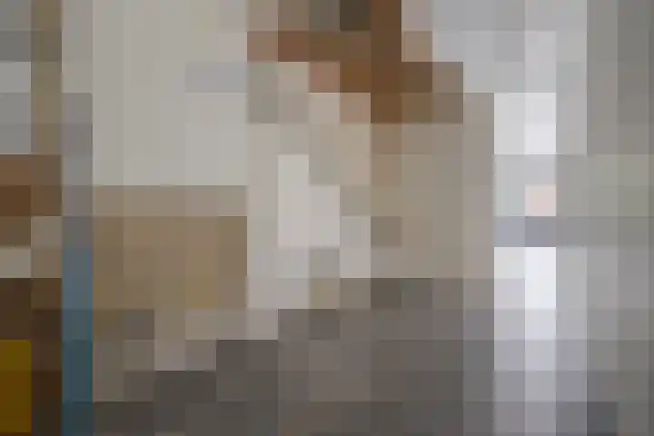 Aristoteleslaan 97 Den Haag thumbnail 9