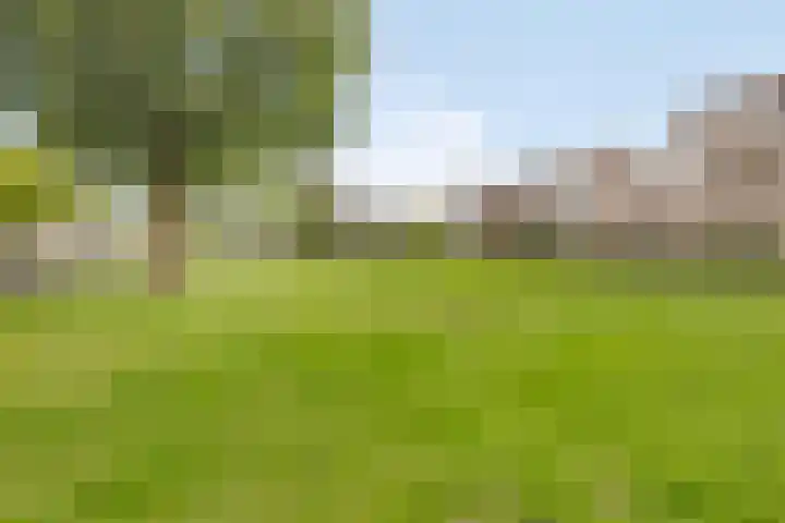 Aristotelesstraat 33 Brunssum thumbnail 29