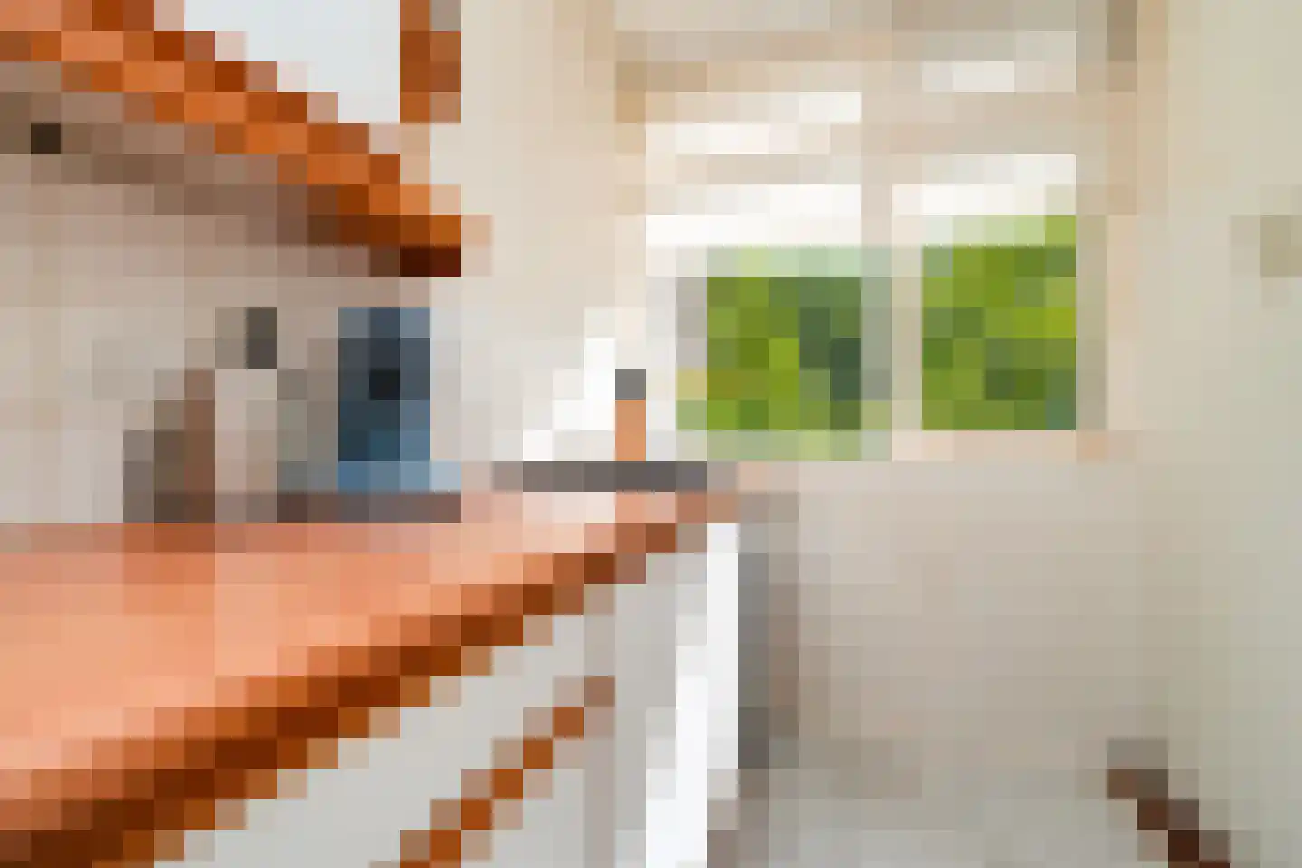 Aristotelesstraat 53 Rotterdam thumbnail 14