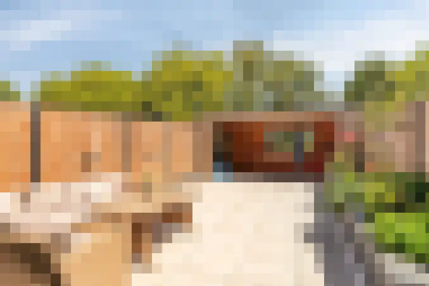 Aristotelestuin 6 Capelle aan den IJssel thumbnail 27