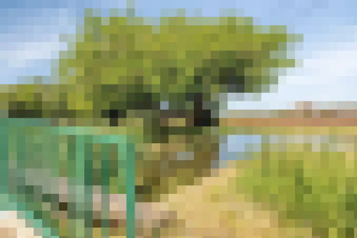 Aristotelestuin 6 Capelle aan den IJssel thumbnail 33