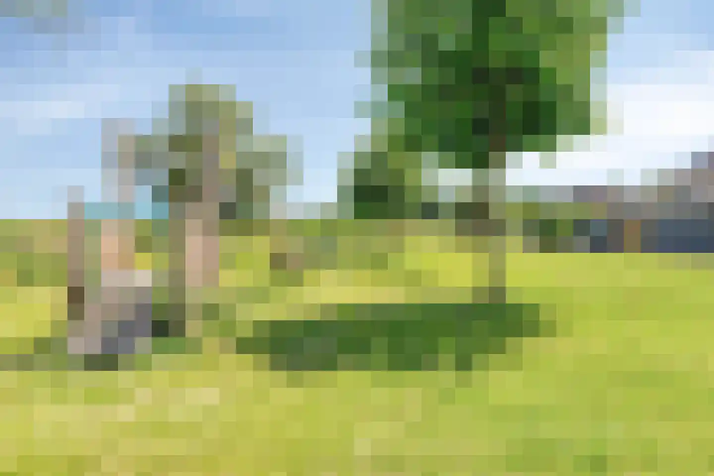Aristotelestuin 6 Capelle aan den IJssel thumbnail 35