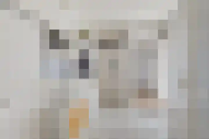 Arizonahof 16 IJsselstein thumbnail 37