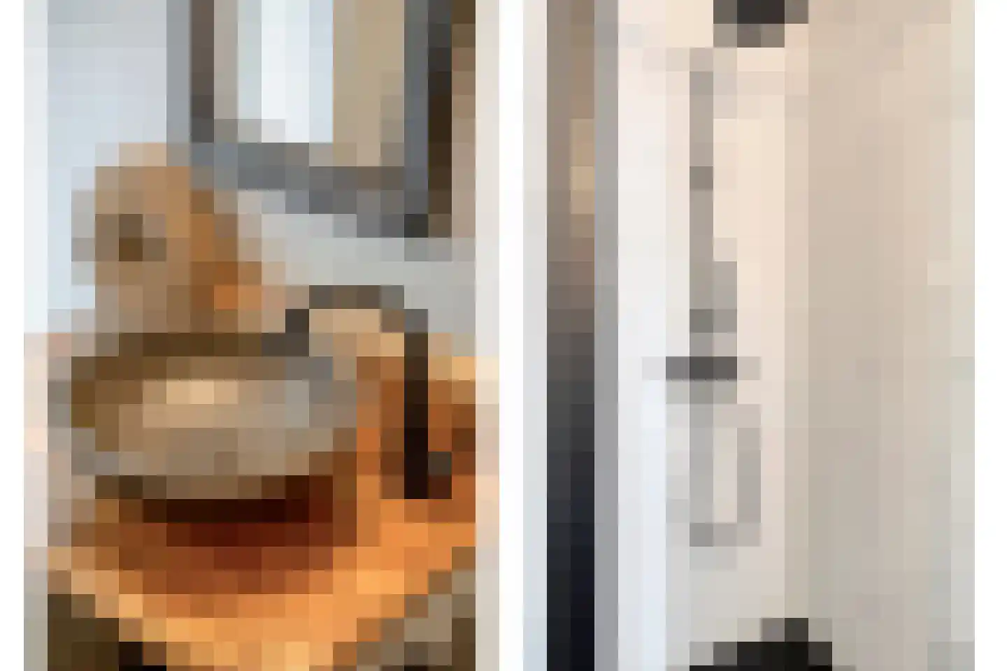 Arjaan Katsmanstraat 46 Wolphaartsdijk thumbnail 31