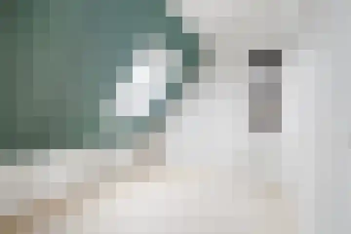 Arjen Roelswei 19 Alde Leie thumbnail 22