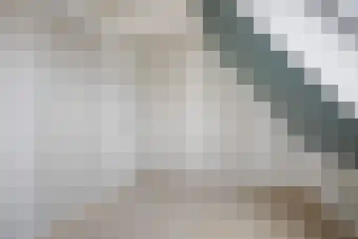 Arjen Roelswei 19 Alde Leie thumbnail 23