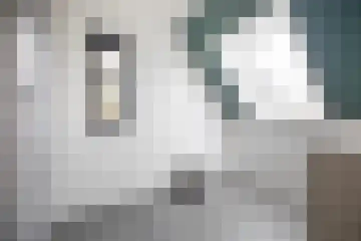 Arjen Roelswei 19 Alde Leie thumbnail 25