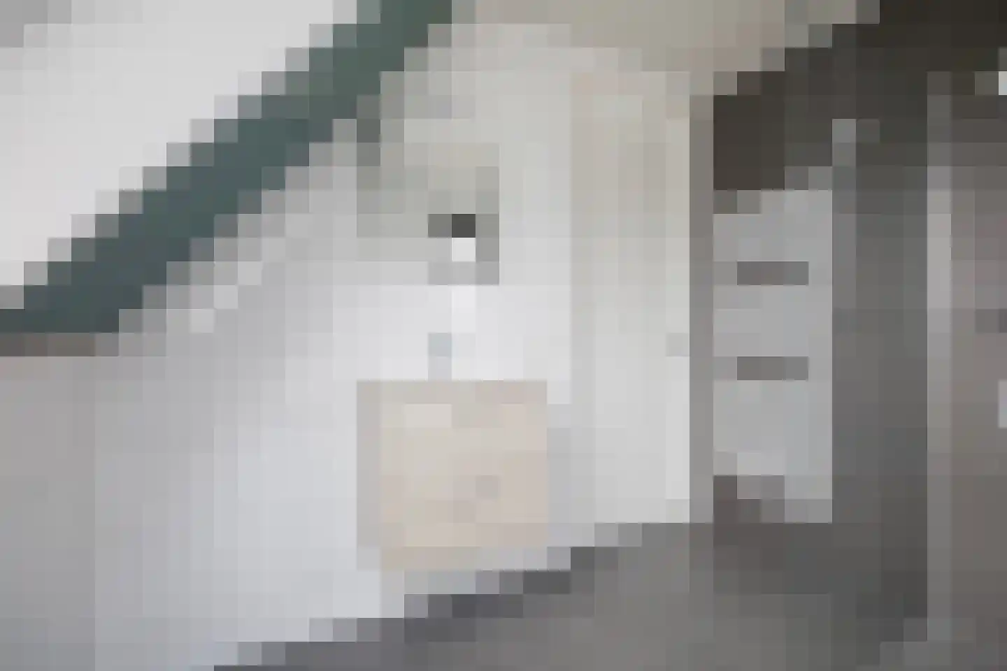 Arjen Roelswei 19 Alde Leie thumbnail 26