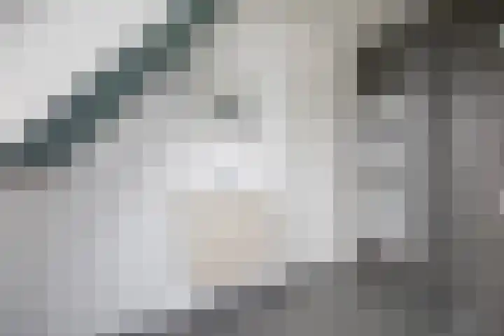 Arjen Roelswei 19 Alde Leie thumbnail 26