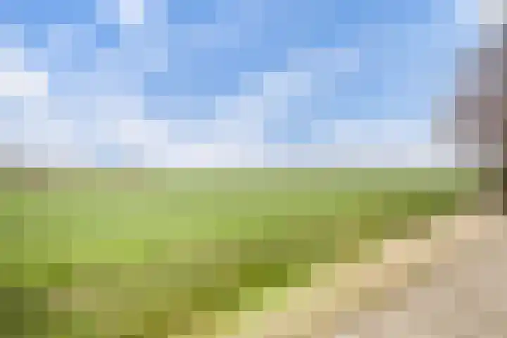 Arjen Roelswei 19 Alde Leie thumbnail 34