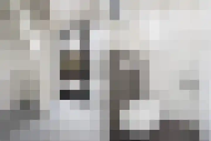 Arjen Roelswei 19 Alde Leie thumbnail 6