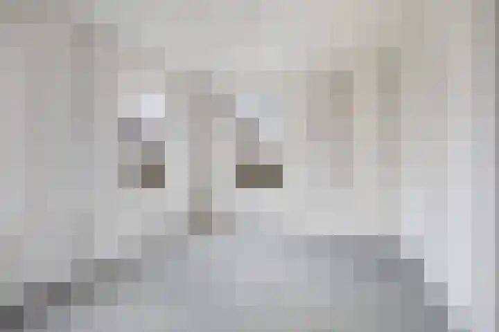 Arjen Roelswei 19 Alde Leie thumbnail 7