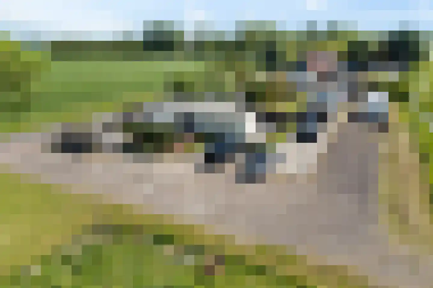Arjen Roelswei 51 Alde Leie thumbnail 10