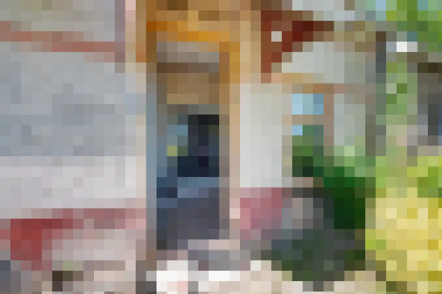 Arjen Roelswei 51 Alde Leie thumbnail 13