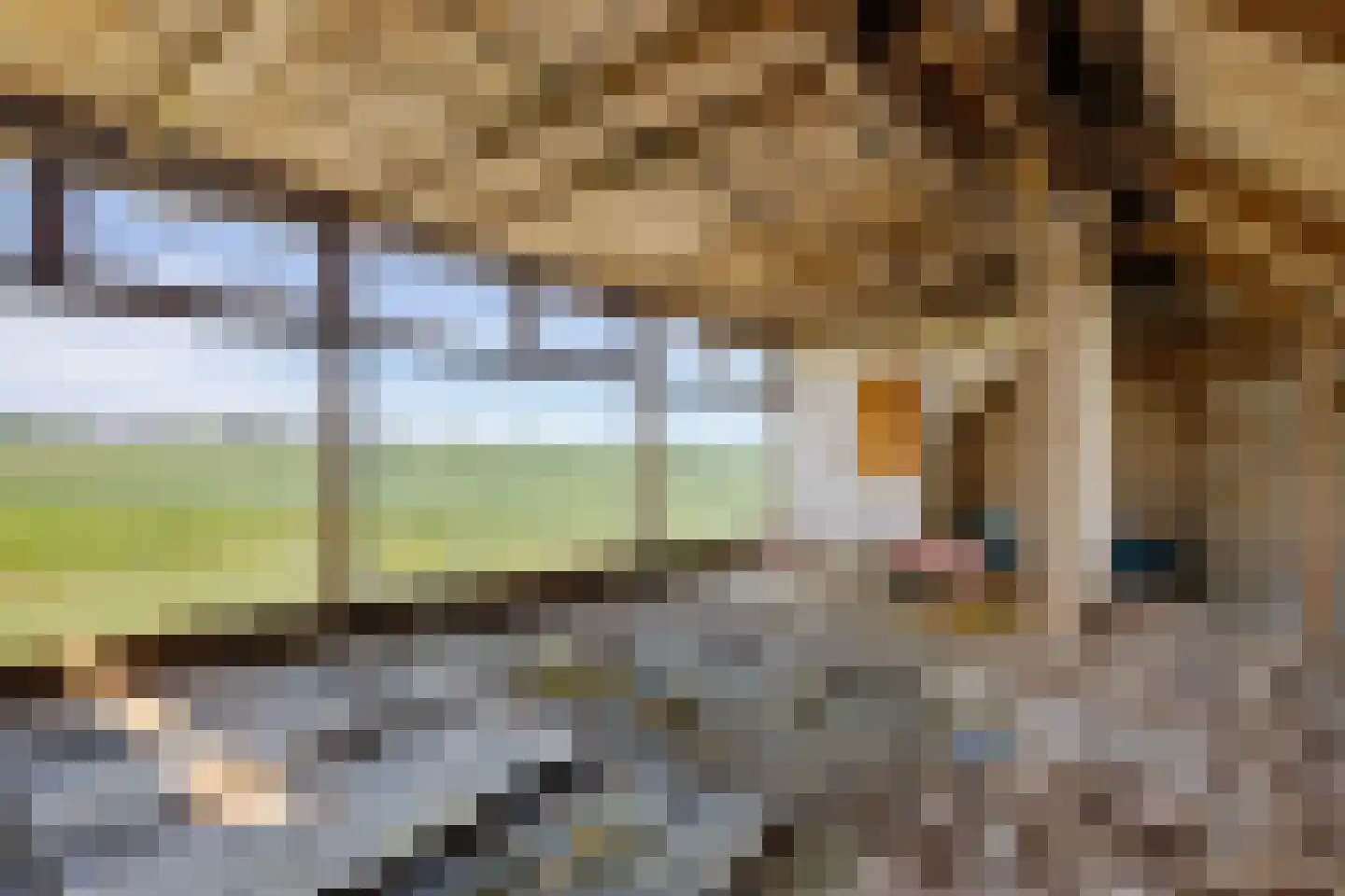 Arjen Roelswei 51 Alde Leie thumbnail 23