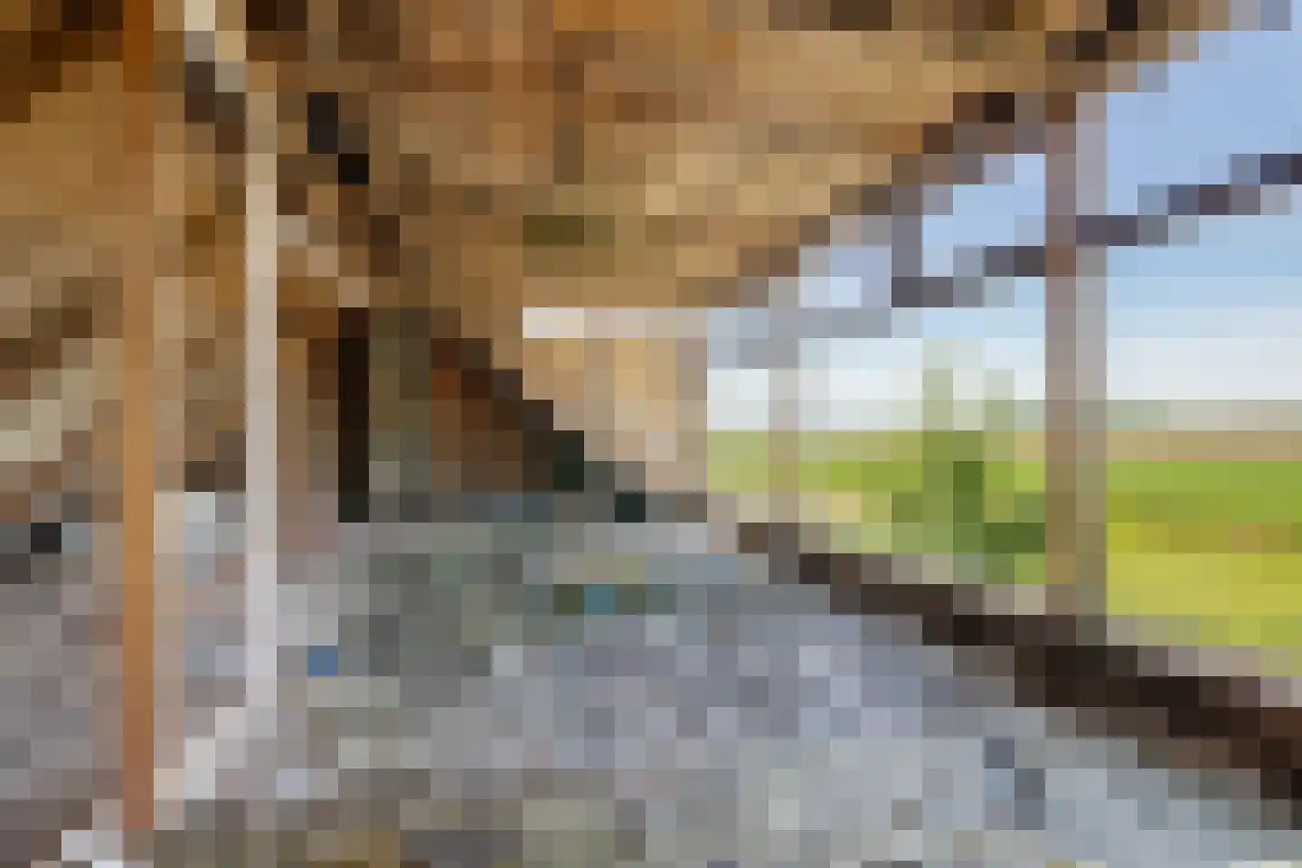Arjen Roelswei 51 Alde Leie thumbnail 24