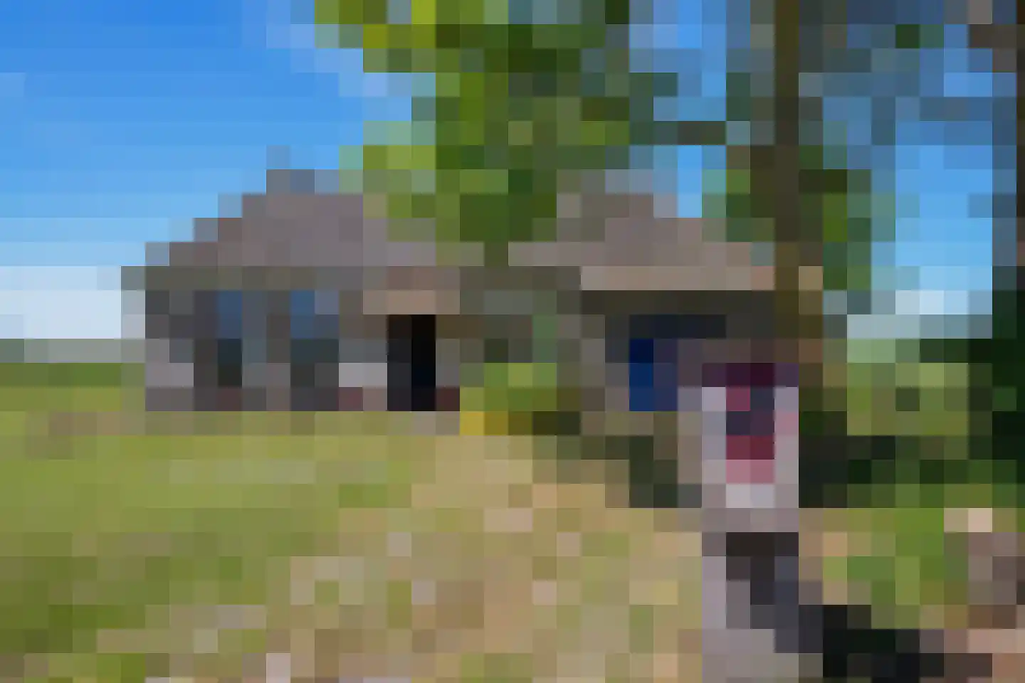 Arjen Roelswei 51 Alde Leie thumbnail 5