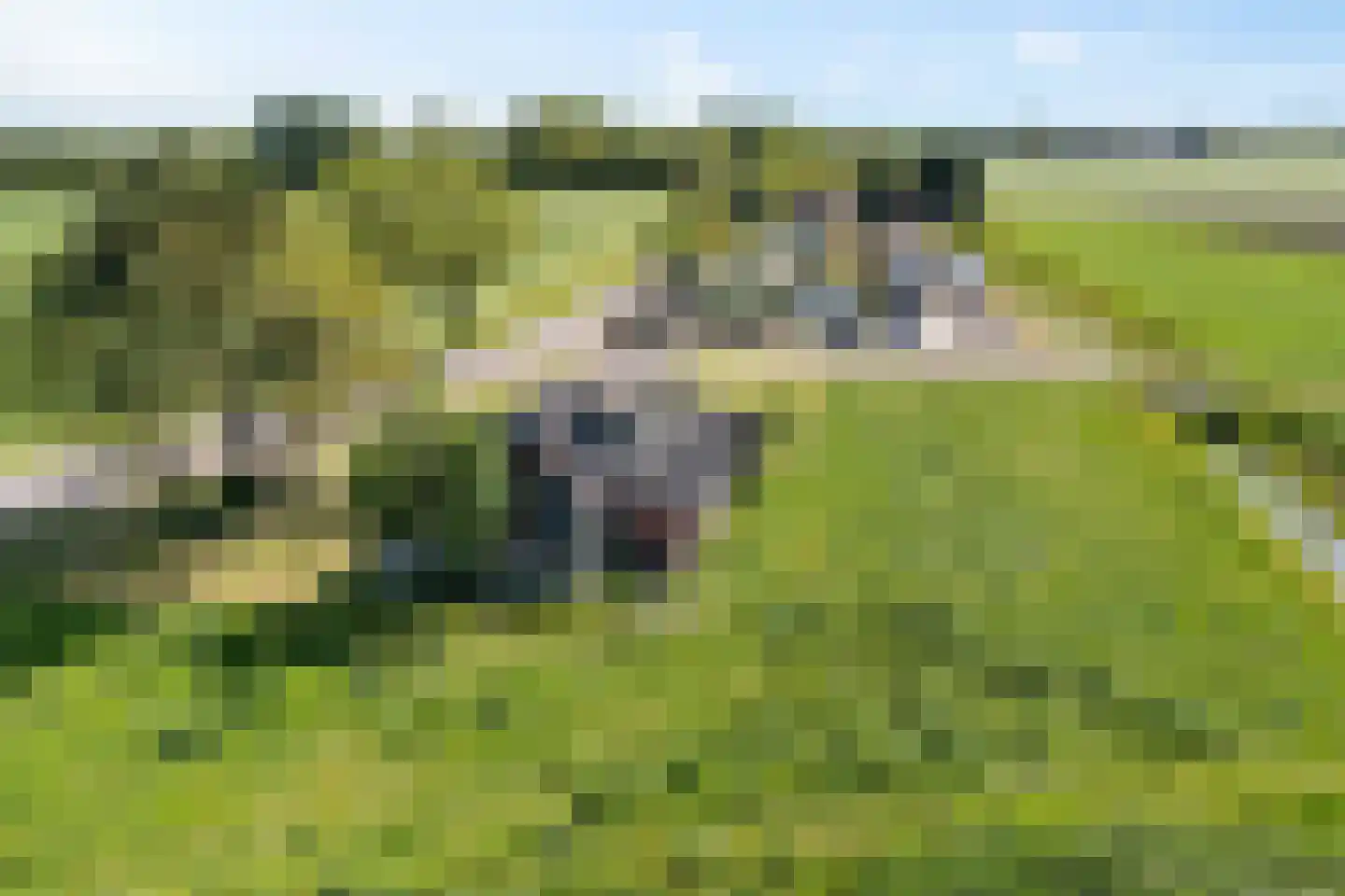 Arjen Roelswei 51 Alde Leie thumbnail 6