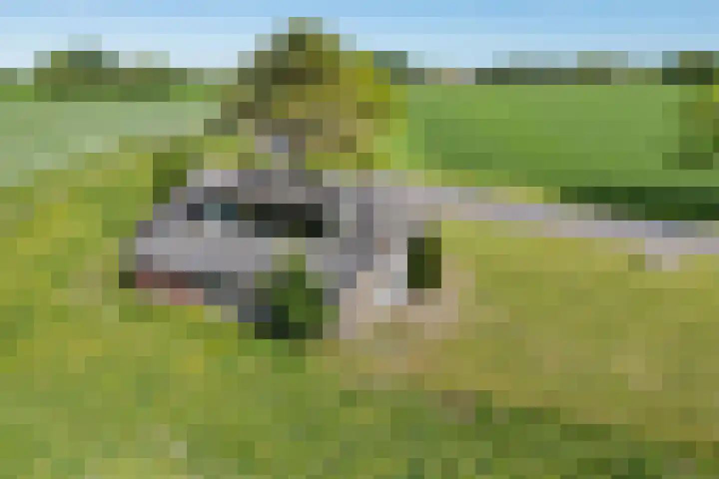 Arjen Roelswei 51 Alde Leie thumbnail 7