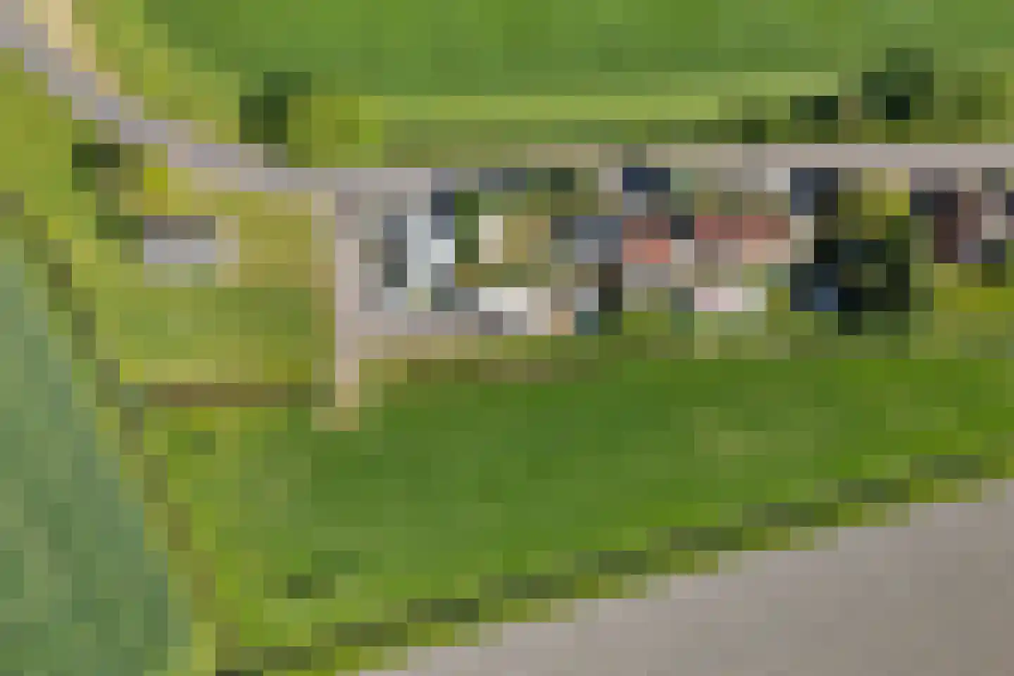 Arjen Roelswei 51 Alde Leie thumbnail 8