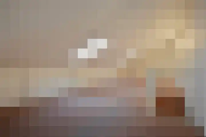 Ark 22 Veldhoven thumbnail 20
