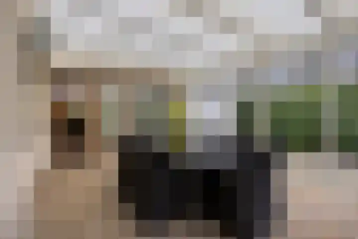 Ark 22 Veldhoven thumbnail 25