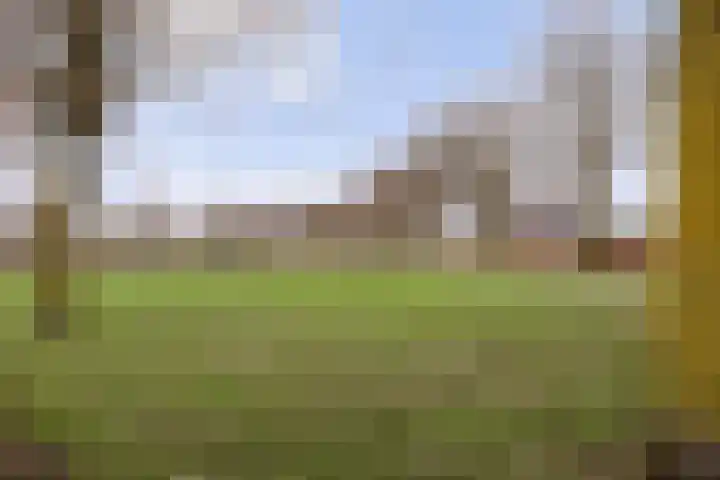 Ark 22 Veldhoven thumbnail 30