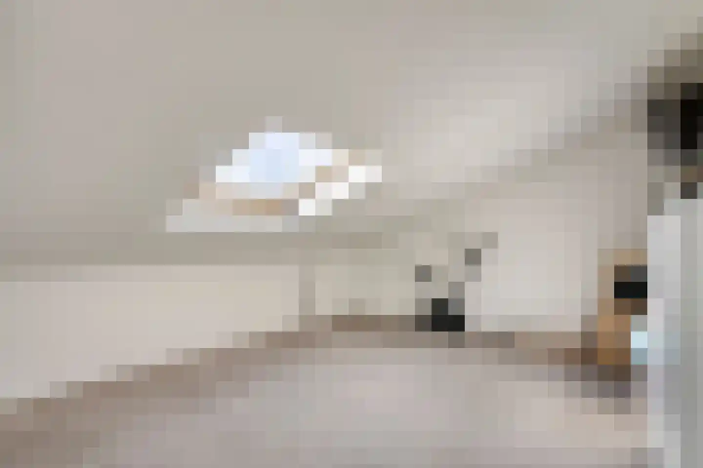 Ark 25 Veldhoven thumbnail 32