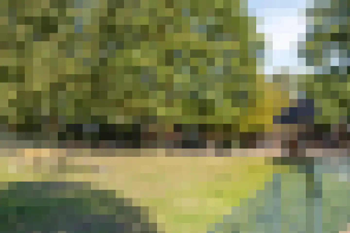 Ark 25 Veldhoven thumbnail 39
