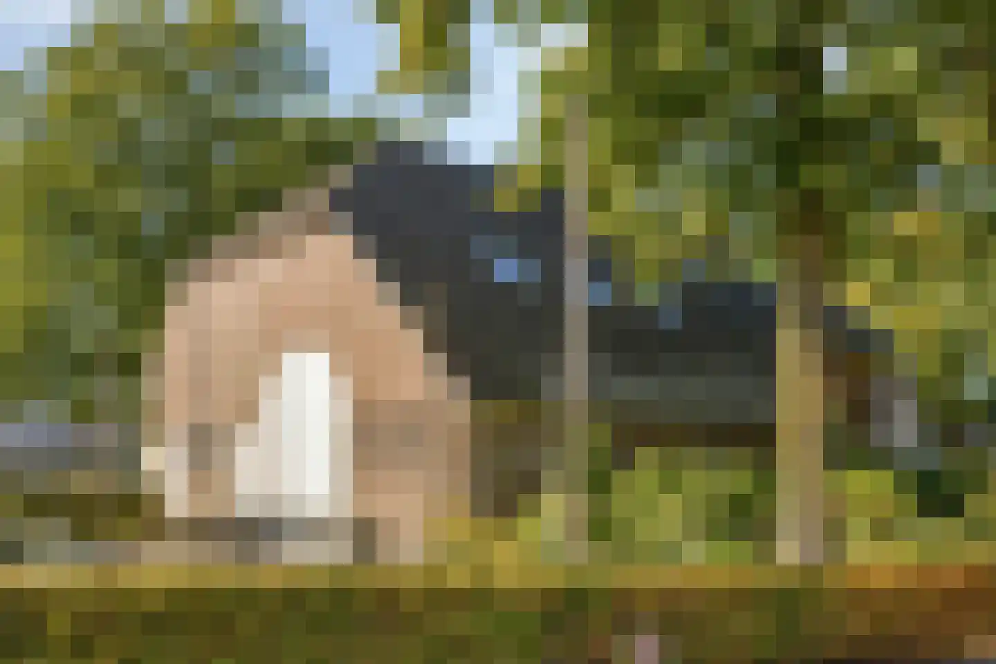 Ark 25 Veldhoven thumbnail 40