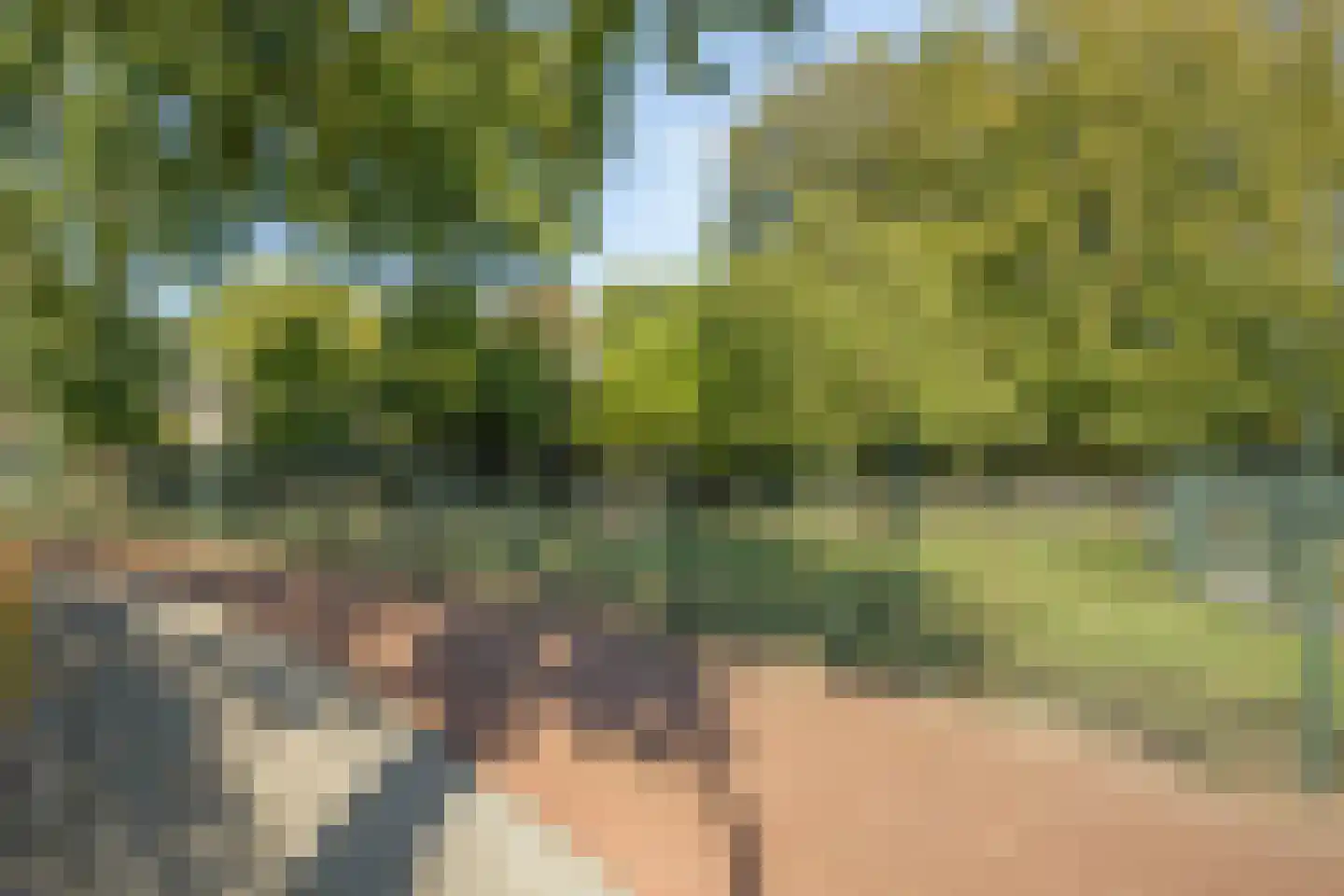 Ark 25 Veldhoven thumbnail 41