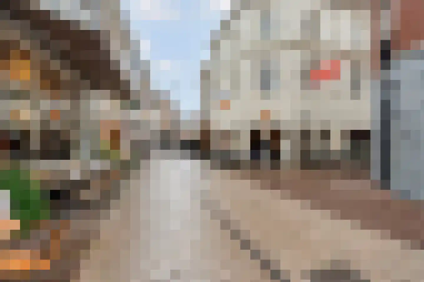 Arke Noachstraat 4 2B Arnhem thumbnail 15