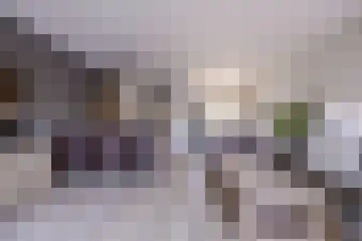 Arkelhof 1 Zevenbergen thumbnail 10