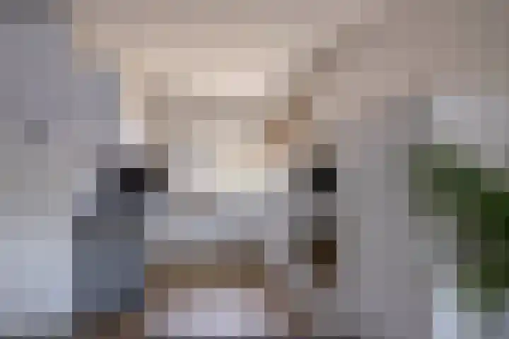 Arkelhof 1 Zevenbergen thumbnail 12