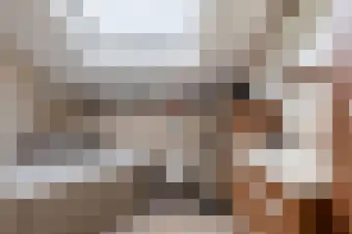 Arkelhof 1 Zevenbergen thumbnail 18