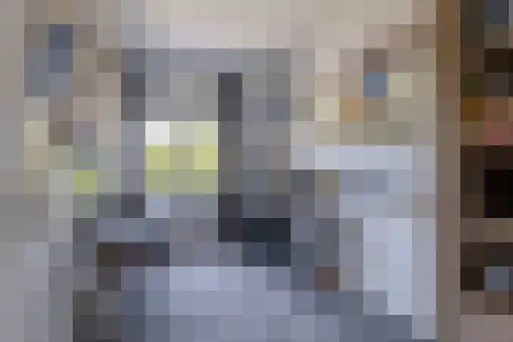 Arkelhof 1 Zevenbergen thumbnail 23