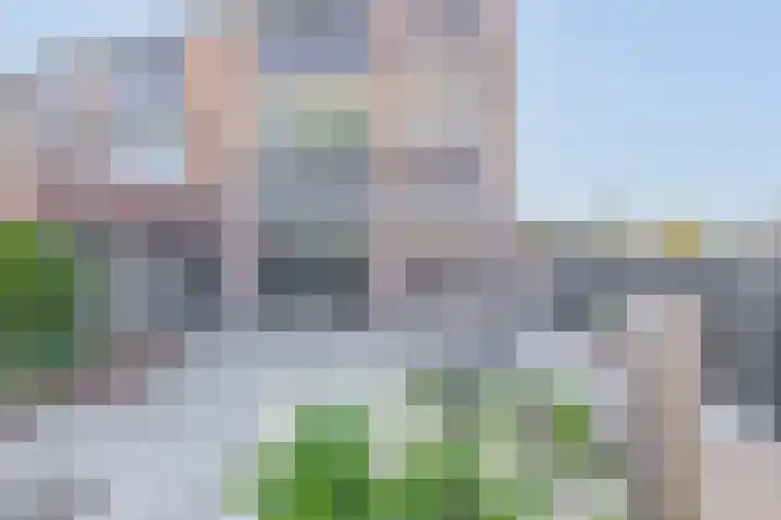 Arkelhof 1 Zevenbergen thumbnail 29