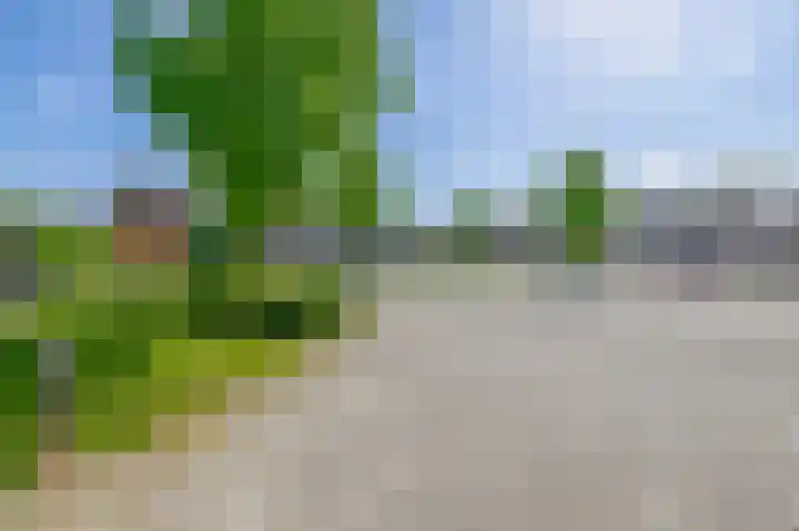 Arkelhof 1 Zevenbergen thumbnail 37