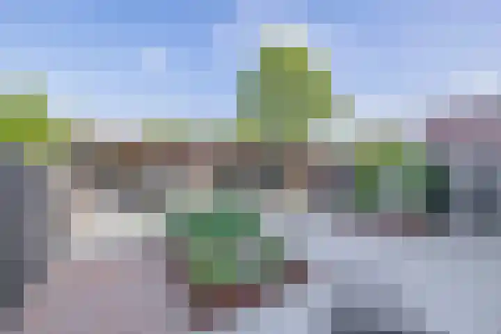 Arkelhof 1 Zevenbergen thumbnail 4