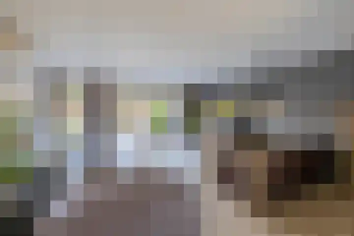 Arkelhof 1 Zevenbergen thumbnail 8