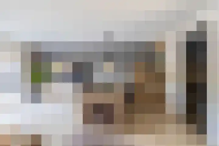 Arkelhof 1 Zevenbergen thumbnail 9