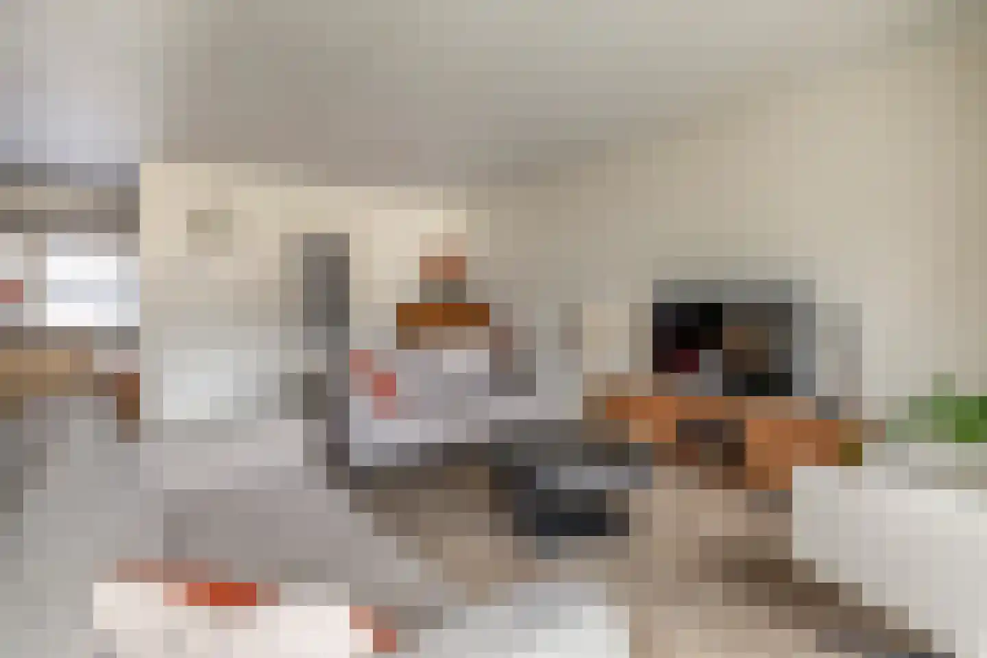 Arkelhof 10 Zevenbergen thumbnail 15