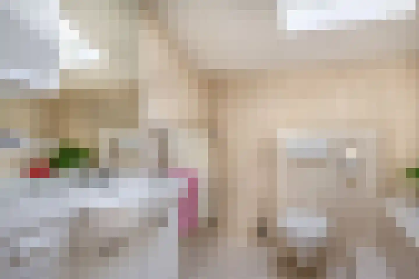 Arkelhof 10 Zevenbergen thumbnail 30